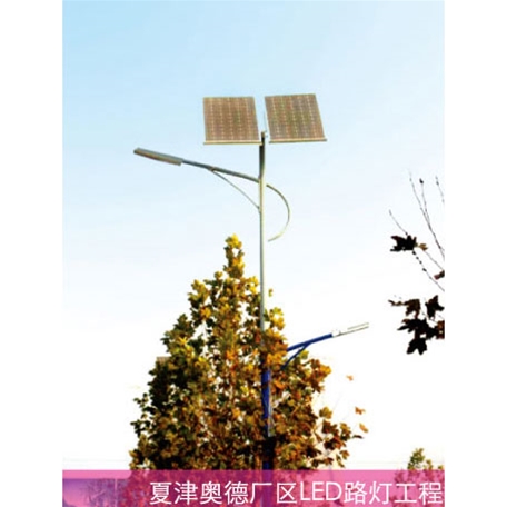 夏津奧德廠區(qū)LED路燈工程